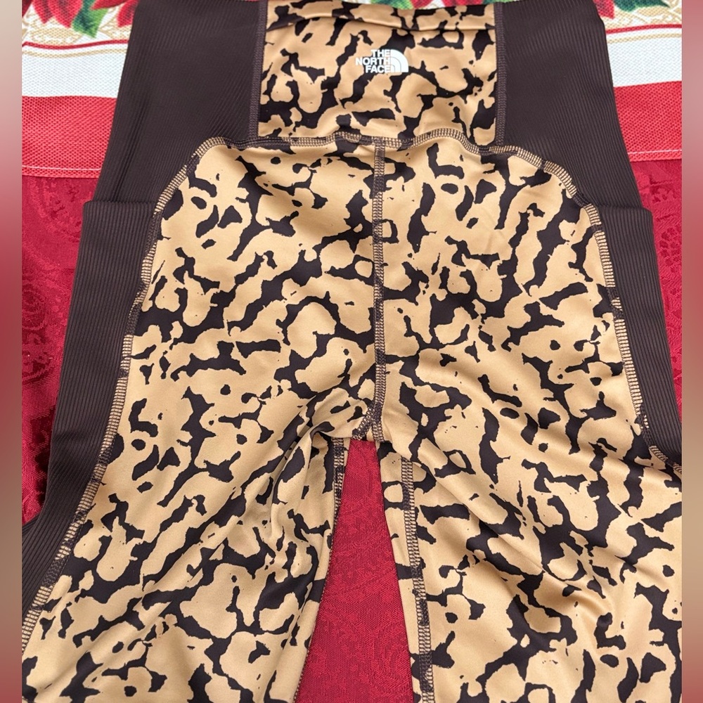 The north face shorts